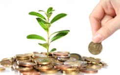 dominika_p_mikroprzedsi_biorstwa_2