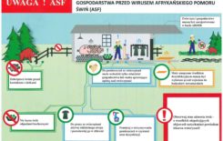 doc07728420161028103118-001-c27