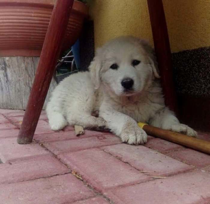 64b2a266a10e8576d11c9892d0799446