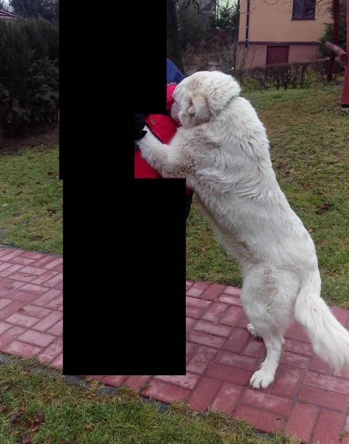 97e039b91f1eb560e6e4fd5b580e196a