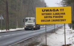 3GIGvxzn8OVExIn3LYUAN9qWox4Ho59FD0NzniDH-245x155