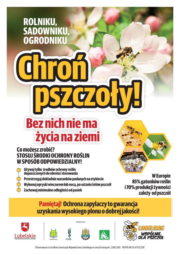 Plakat