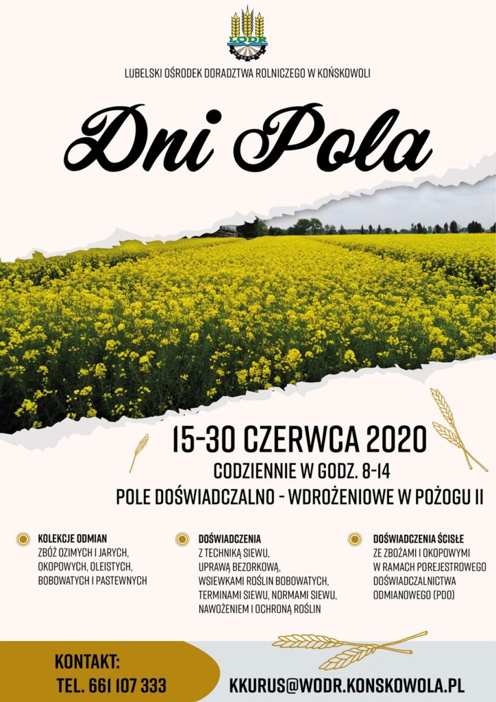 dzien pola plakat