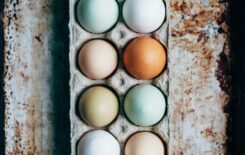 kelly-neil-omEpnvmwWz0-unsplash