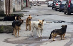 9cd7a1b88c4a0289b0d666279ed5