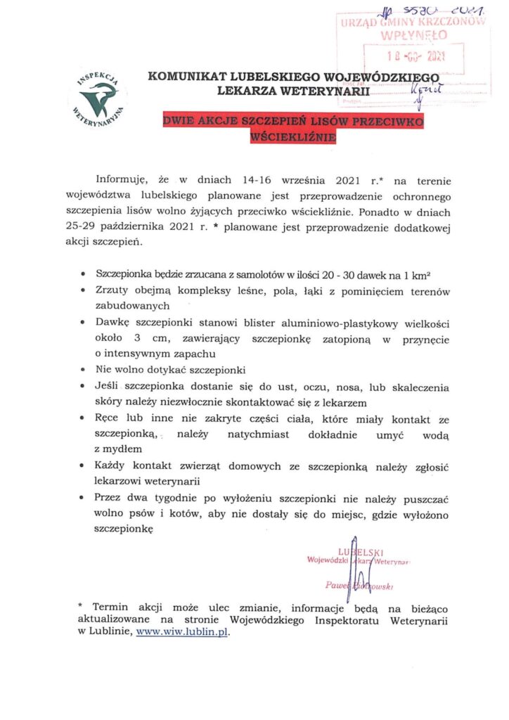 Szczepienie lisów przeciwko wściekliźnie-1