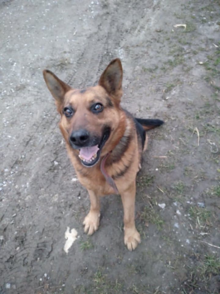 43d0c4ac-cdb1-4f72-bc9b-430f3edf8ce6