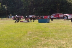 35067596_1429118603855009_6088428764159541248_o