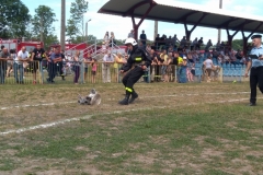 35071241_1429119203854949_3971978449601429504_o