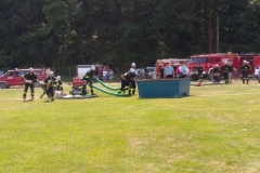 35145997_1429118400521696_6751145297423892480_o