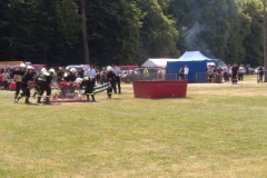 35164894_1429118100521726_5897608950655746048_o